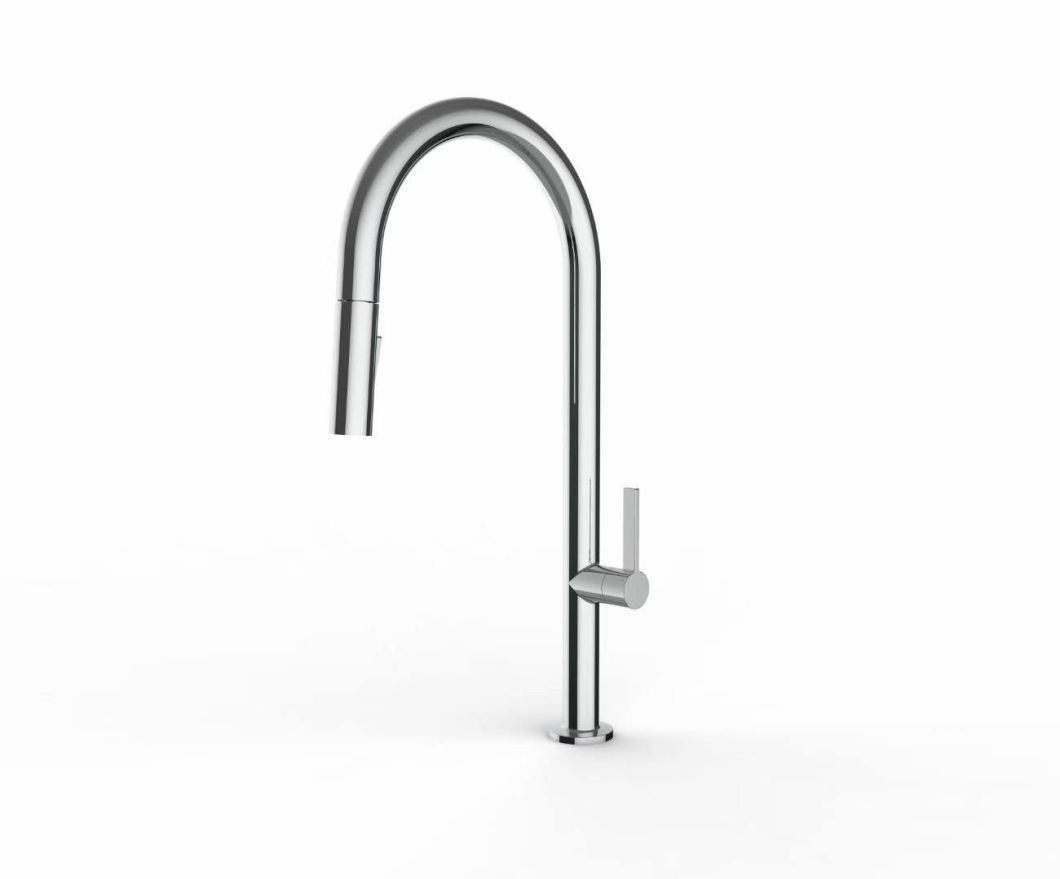 Kitchen Faucet Sanitary Ware Water Tap