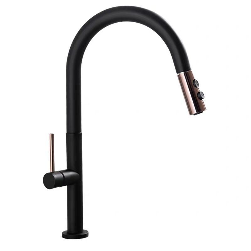 Kitchen Faucet Sanitary Ware Water Tap