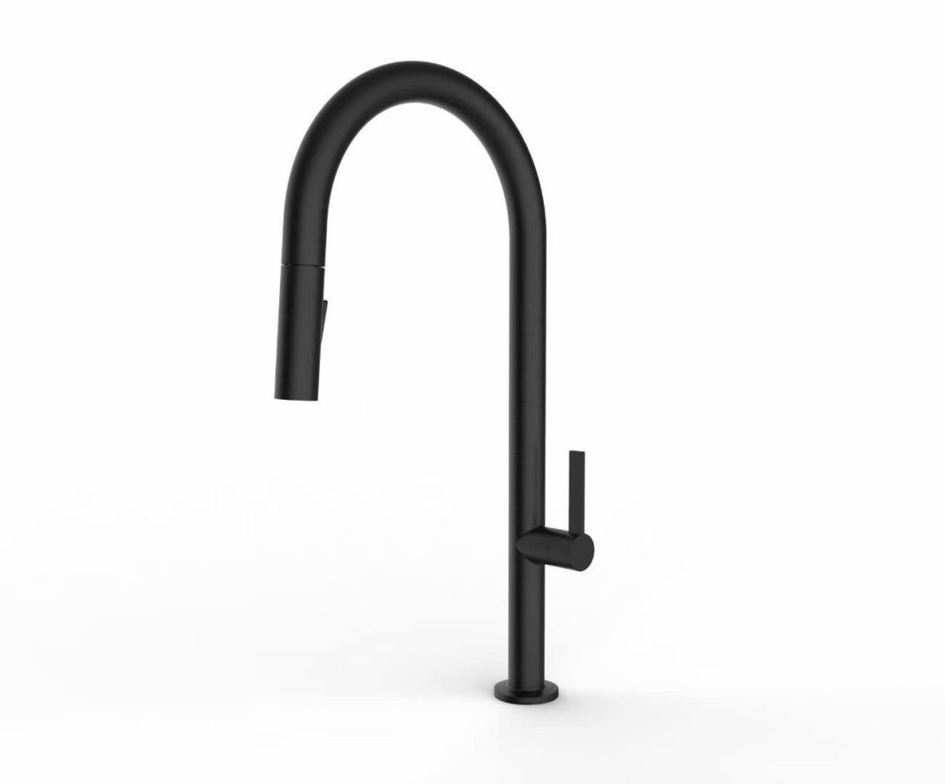 Morden Design Pull out Function Matte Black Brass Kitchen Water Mixer