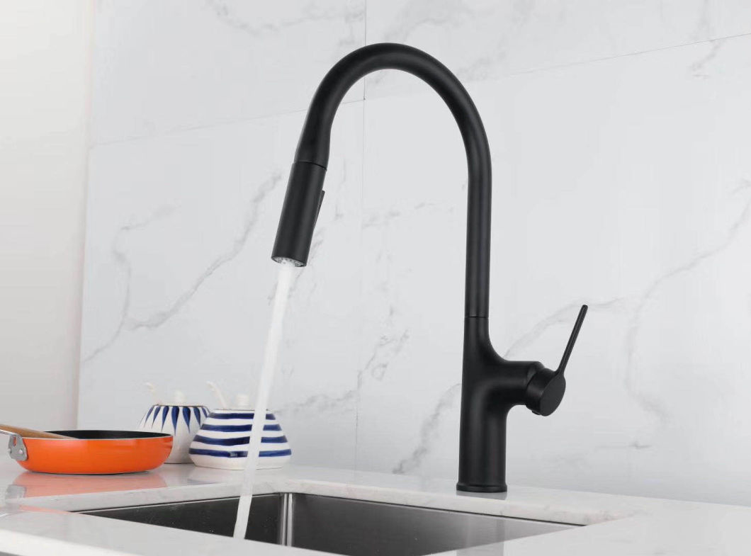 Kitchen Faucet Sanitary Ware Water Tap